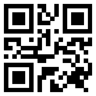 Il Qr Code di 3916567602