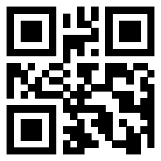 Il Qr Code di 3916567813