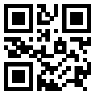 3916631530 QrCode associato