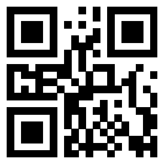 Il Qr Code di 3916631546