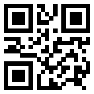 Il Qr Code di 3916631881