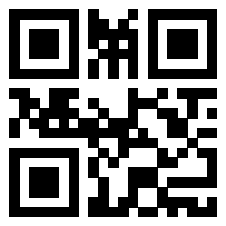 3916632010 QrCode associato