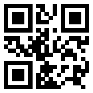 Il Qr Code di 3916632013