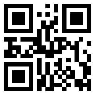 Il Qr Code di 3916632096