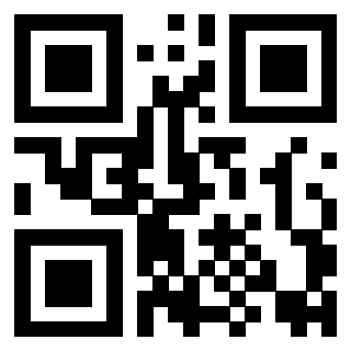QrCode di 3916632302