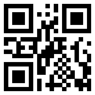 3916632310 Qr Code associato
