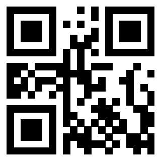Il Qr Code di 3916632453