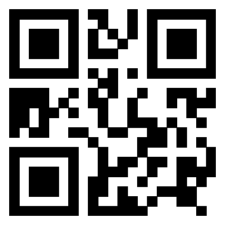 Il Qr Code di 3916639909