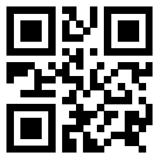 Il Qr Code di 3916640011