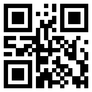 Il Qr Code di 3916640017