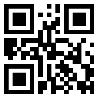 3916640133 QrCode associato