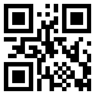 Il Qr Code di 3916640308