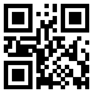 Il Qr Code di 3916640334