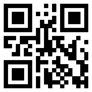 QrCode di 3916640387