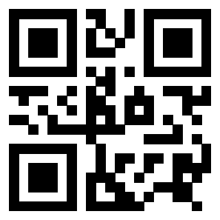 Il Qr Code di 3916640533