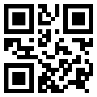 Il Qr Code di 3916656379