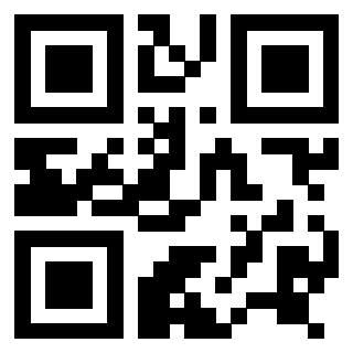 Il Qr Code di 3916656553