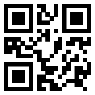 Il Qr Code di 3916656703