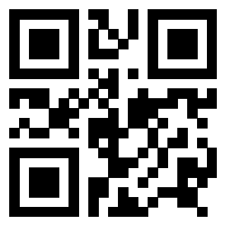 Il Qr Code di 3916656810