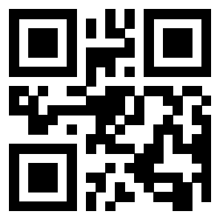 Il Qr Code di 3916656905