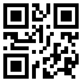 Il Qr Code di 3916656925