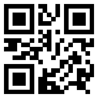 Il Qr Code di 3916657028