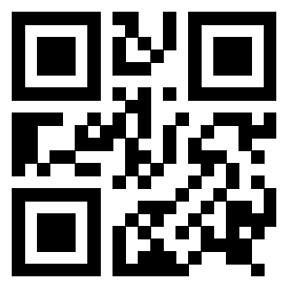 3916801060 Qr Code associato