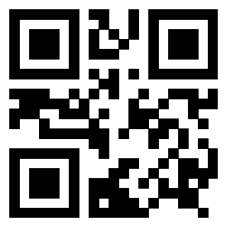 Il Qr Code di 3916801092
