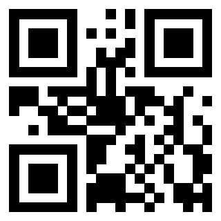 Il Qr Code di 3916801256
