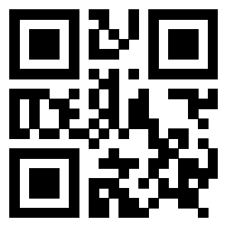 Il Qr Code di 3916824493