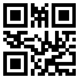 Il Qr Code di 3916824519