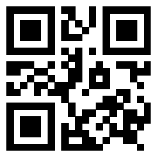 Il Qr Code di 3916824534