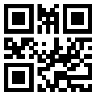 Il Qr Code di 3916824804