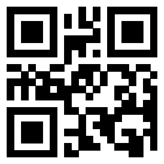 Il Qr Code di 3916824923
