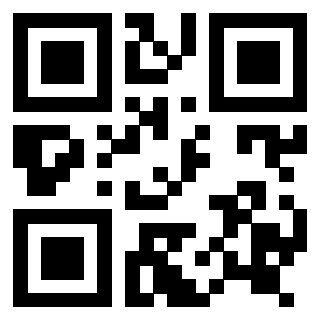 Il Qr Code di 3916824952