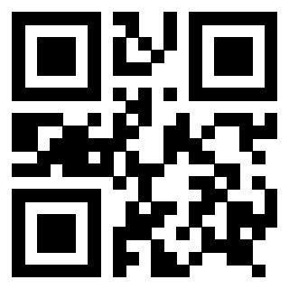 Il Qr Code di 3916825113