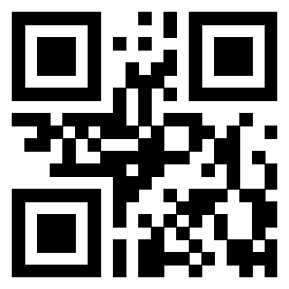 QrCode di 3916825279