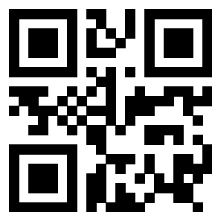 Il Qr Code di 3916895833