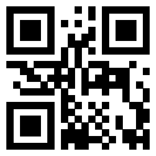 3916895848 QrCode associato