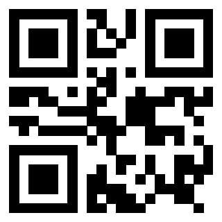 Il Qr Code di 3916895853