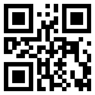Il Qr Code di 3916895862