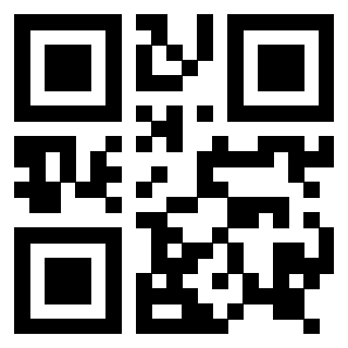 3916895891 - Immagine del Qr Code associato