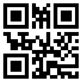 Il Qr Code di 3916895894