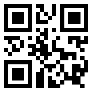 Il Qr Code di 3916895901