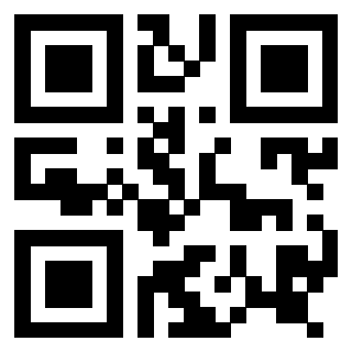 Il Qr Code di 3916895903