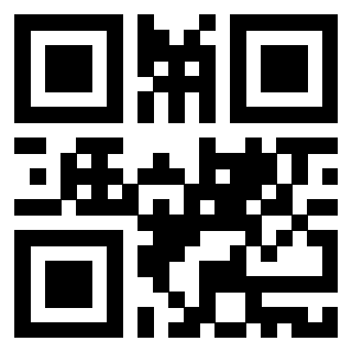 Il Qr Code di 3916895911
