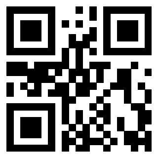 Il Qr Code di 3916895951