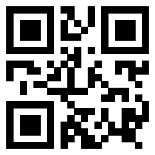 3916895993 QrCode associato