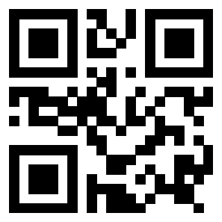 Il Qr Code di 3916896004