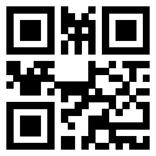 Il Qr Code di 3916896011